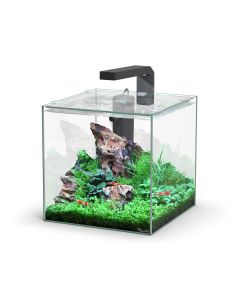 Kubus 10L Aquarium Black