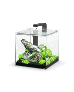 Kubus 15L Aquarium Black