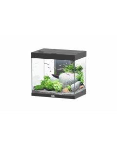 Splendid 60 Aquarium Black
