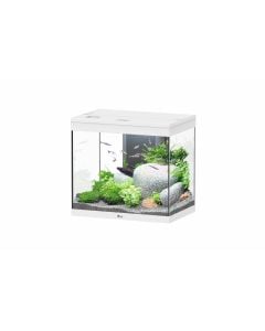 Splendid 60 Aquarium White