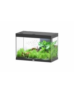 Splendid 80 Aquarium Black