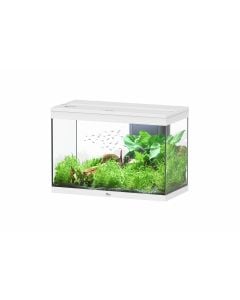 Splendid 80 Aquarium White