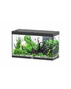 Splendid 100 Aquarium Black
