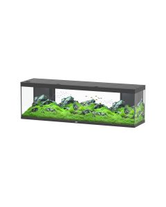 Splendid 200 Black+External Filter