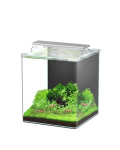 Kubus Curve 30L