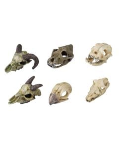 AD Counter Display - Mini Skulls 12 Pack