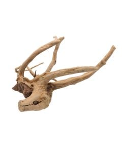 AD Natural Wood - Pulido 30-43cm