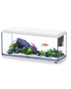 Explorer Amsterdam 85L Aquarium White
