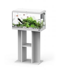 Explorer Paris / Vienna Stand White