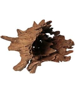 Corbo Tree Truck Root - Medium x 2