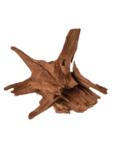 Corbo Tree Trunk Root - Large x 2
