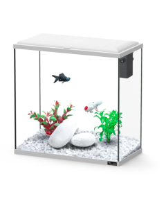 Explorer Dublin 34L Aquarium White