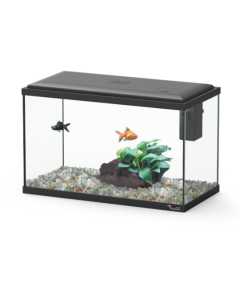 Explorer Lisbon 22L Aquarium Black