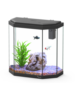 Explorer Rome 30L Aquarium Black