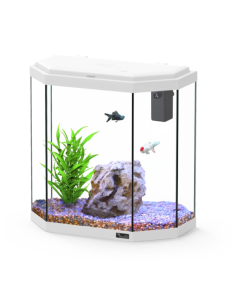 Explorer Rome 30L Aquarium White