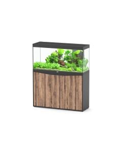 Splendid 120 Cabinet Black Wood