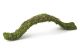 Galapagos Mossy Flexible Bridge 2ft