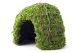 Galapagos Mossy Dome 6