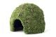 Galapagos Mossy Dome 9