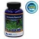 N.T. Labs Aquarium Ammonia Remover 240g