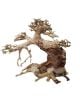 Bonsai Nature Tree XS