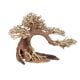 Bonsai Nature Tree PM