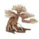 Bonsai Nature Tree MM