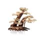 Bonsai Nature Tree L/XL
