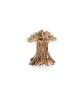 Bonsai Forest Tree PM