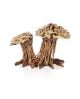 Bonsai Double Forest Tree PM