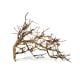 Natural Bush Vine 10-30cm