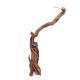 Twisted Vine Branch L-XL 60cm+