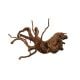 Rare Red Vine S 10-20cm