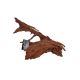 Malaysian Wood M 20-28cm
