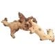Mopani Wood 35-50cm