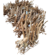 Rare Tree Root XL 50-80cm