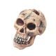 AquaDella - Mini Skull