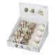AquaDella - SeaShell Mix 12 Pack