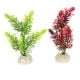AD - Elodea Densa Plant 1 13cm (12pk)