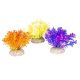 AD - Glosso Plants 1 9cm (6pk)