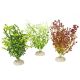AD - Bacopa Plants 25cm (6pk)
