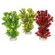 AD - Canadnesis Plant 23cm (6pk)