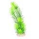 AD - Hornwort Plant 24cm (6pk)