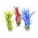 AD - Amazon Sword Plant 30cm (6pk)