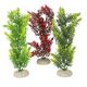 AD - Elodea Densa Plants 1 25cm (6pk)
