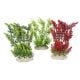 AD - Elodea Densa Plant L 25cm (6pk)