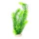 AD - Hornwort Plant L 32cm (6pk)