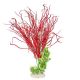 AD - Lily Grass Plant XL 50cm (4pk)