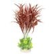 AD - Java Fern Plant XL 45cm (4pk)