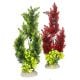 AD - Elodea Densa Plant XL 46cm (4pk)